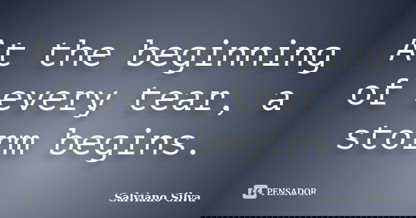 At the beginning of every tear, a storm begins.... Frase de Salviano Silva.