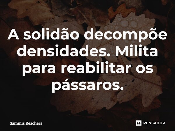 ⁠A solidão decompõe densidades. Milita para reabilitar os pássaros.... Frase de Sammis Reachers.