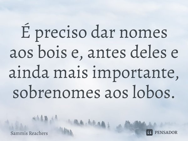 ⁠É preciso dar nomes aos bois e, antes deles e ainda mais importante, sobrenomes aos lobos.... Frase de Sammis Reachers.