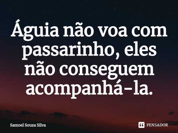 ⁠Águia não voa com passarinho, eles não conseguem acompanhá-la.... Frase de Samoel Souza Silva.