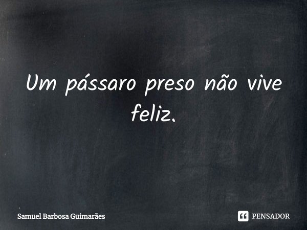 ⁠⁠Um pássaro preso não vive feliz.... Frase de Samuel Barbosa Guimarães.