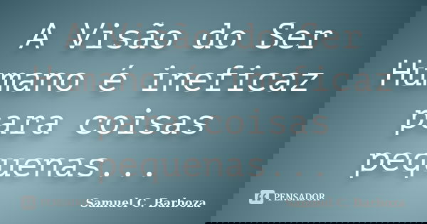 A Visão do Ser Humano é ineficaz para coisas pequenas...... Frase de Samuel C. Barboza.