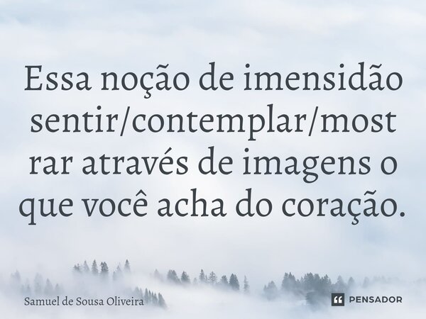 Essa noção de imensidão ⁠sentir/contemplar/mostrar através de imagens o que você acha do coração.... Frase de Samuel de Sousa Oliveira.