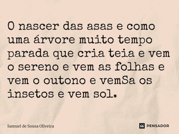 ⁠O nascer das asas e como uma árvore muito tempo parada que cria teia e vem o sereno e vem as folhas e vem o outono e vemSa os insetos e vem sol.... Frase de Samuel de Sousa Oliveira.