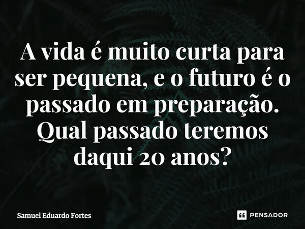 A vida é muito curta para ser pequena, e o futuro é o passado em preparação. Qual passado teremos daqui 20 anos?... Frase de Samuel Eduardo Fortes.