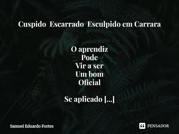 Cuspido Escarrado Esculpido em Carrara O aprendiz
Pode
Vir a ser
Um bom
Oficial Se aplicado
Certamente
Será
Artesão-canteiro Dedicado
Torna-se
Mestre O gênio
Do... Frase de Samuel Eduardo Fortes.