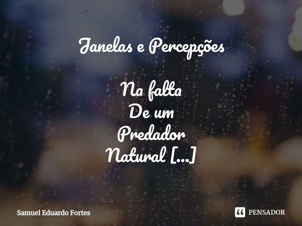 ⁠Janelas e Percepções Na falta De um Predador Natural Contudo Esperança Qualquer De Um dia tranquilo Amanhecer... Frase de Samuel Eduardo Fortes.