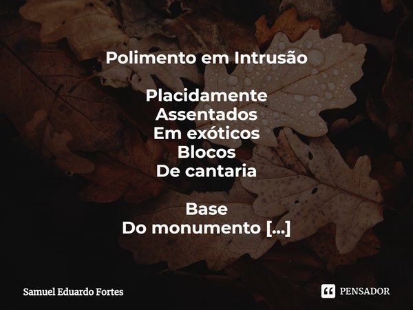 Polimento em Intrusão ⁠Placidamente
Assentados
Em exóticos
Blocos
De cantaria Base
Do monumento
Ao alferes
Na odontológica
Praça Diariamente
A deliciosa
Expecta... Frase de Samuel Eduardo Fortes.