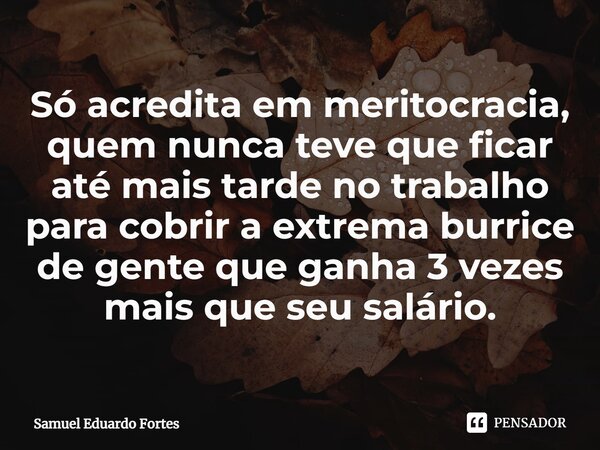 ⁠Só acredita em meritocracia, quem nunca teve que ficar até mais tarde no trabalho para cobrir a extrema burrice de gente que ganha 3 vezes mais que seu salário... Frase de Samuel Eduardo Fortes.