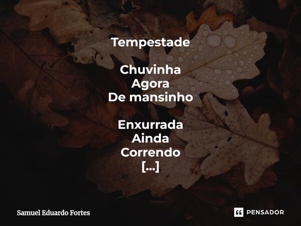 Tempestade ⁠Chuvinha Agora De mansinho Enxurrada Ainda Correndo Barquinhos De papel Passando Levando Coisas E quantas... Frase de Samuel Eduardo Fortes.