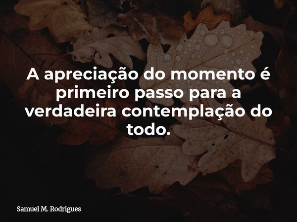 A apreciação do momento é primeiro passo para a verdadeira contemplação do todo.... Frase de Samuel M. Rodrigues.