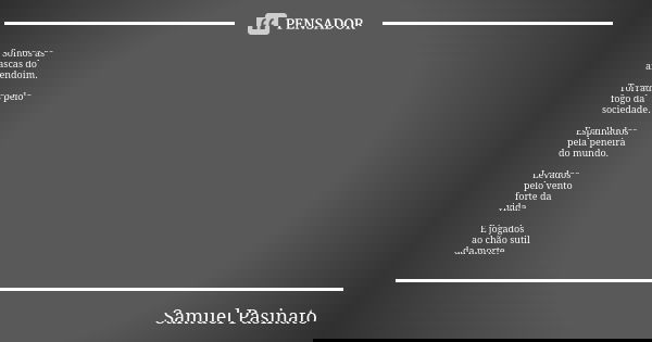 Somos as cascas do amendoim. Torrados pelo fogo da sociedade. Espalhados pela peneira do mundo. Levados pelo vento forte da vida. E jogados ao chão sutil da mor... Frase de Samuel Pasinato.