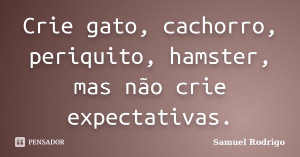 Crie gato, cachorro, periquito, hamster, mas não crie expectativas.... Frase de Samuel Rodrigo.