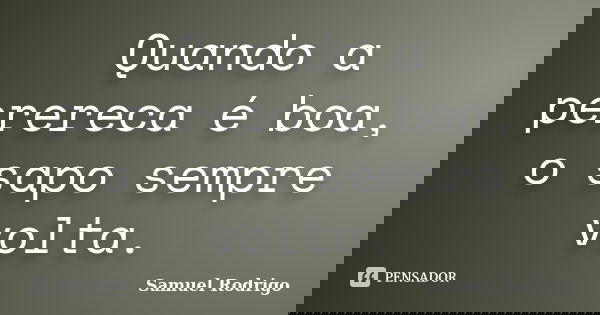 Quando a perereca é boa, o sapo sempre volta.... Frase de Samuel Rodrigo.