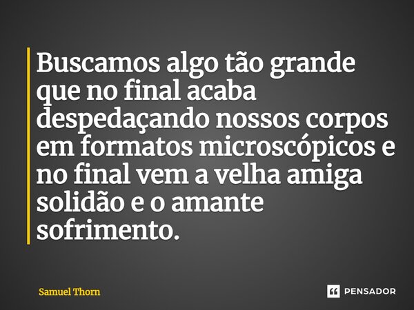 ⁠Buscamos algo tão grande que no final acaba despedaçando nossos corpos em formatos microscópicos e no final vem a velha amiga solidão e o amante sofrimento.... Frase de Samuel Thorn.