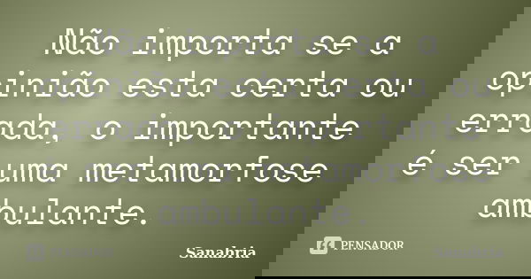 Não importa se a opinião esta certa ou errada, o importante é ser uma metamorfose ambulante.... Frase de Sanabria.