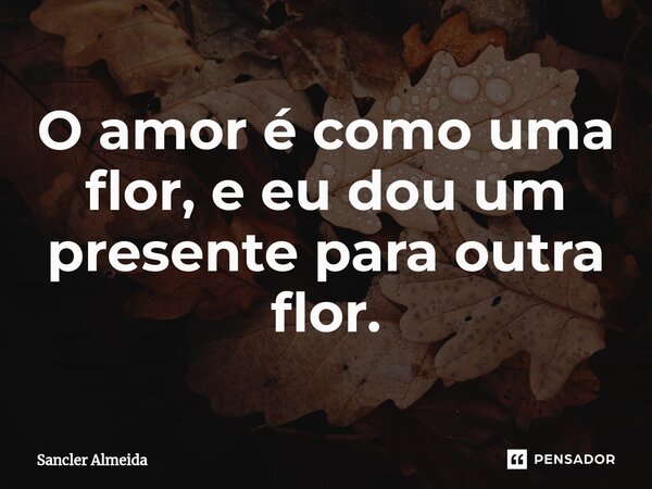⁠O amor é como uma flor, e eu dou um presente para outra flor.... Frase de Sancler Almeida.
