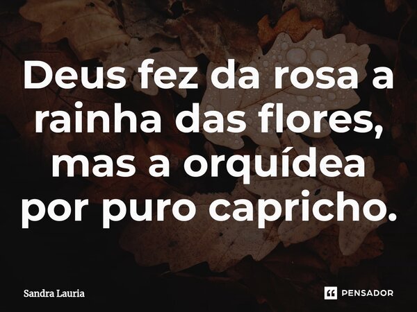 ⁠Deus fez da rosa a rainha das flores, mas a orquídea por puro capricho.... Frase de Sandra Lauria.