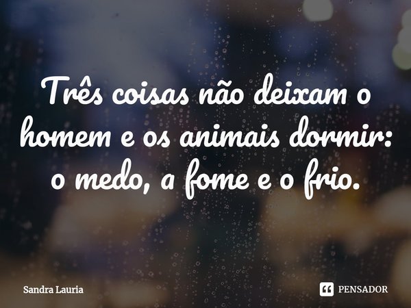 ⁠Três coisas não deixam o homem e os animais dormir: o medo, a fome e o frio.... Frase de Sandra Lauria.