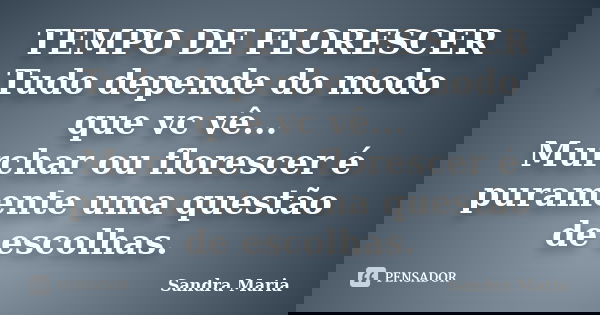 TEMPO DE FLORESCER Tudo depende do modo que vc vê... Murchar ou florescer é puramente uma questão de escolhas.... Frase de Sandra Maria.