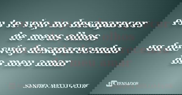 eu te vejo no desaparecer de meus olhos eu de vejo desaparecendo do meu amar... Frase de sandra mello-flor.
