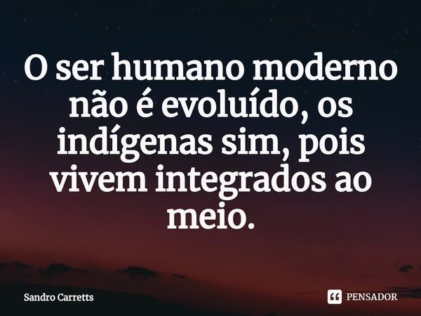 ⁠⁠O ser humano moderno não é evoluído, os indígenas sim, pois vivem integrados ao meio.... Frase de Sandro Carretts.
