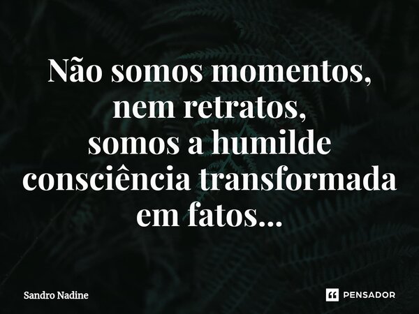 Não somos momentos, nem retratos, somos a humilde consciência transformada em fatos...... Frase de Sandro Nadine.