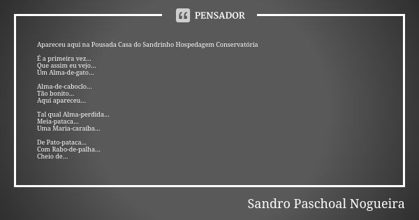 ⁠Apareceu aqui na Pousada Casa do Sandrinho Hospedagem Conservatória É a primeira vez...
Que assim eu vejo...
Um Alma-de-gato... Alma-de-caboclo...
Tão bonito..... Frase de Sandro Paschoal Nogueira.