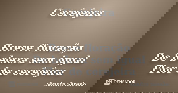 Cerejeira Breve floração De beleza sem igual Flor de cerejeira... Frase de Sandro Sansão.