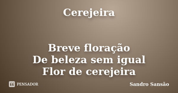 Cerejeira Breve floração De beleza sem igual Flor de cerejeira... Frase de Sandro Sansão.