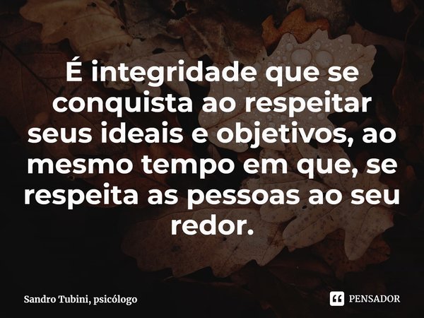 É integridade que se conquista ao respeitar seus ideais e objetivos, ao mesmo tempo em que, se respeita as pessoas ao seu redor.⁠... Frase de Sandro Tubini, psicólogo.