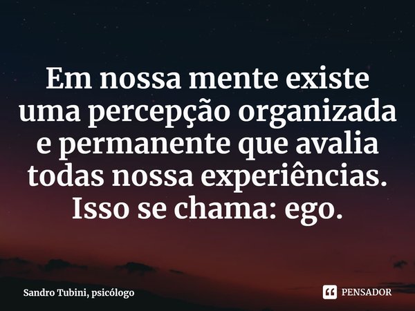 ⁠Em nossa mente existe uma percepção organizada e permanente que avalia todas nossa experiências. Isso se chama: ego.... Frase de Sandro Tubini, psicólogo.