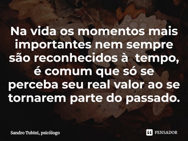 ⁠Na vida os momentos mais importantes nem sempre são reconhecidos à tempo, é comum que só se perceba seu real valor ao se tornarem parte do passado.⁠... Frase de Sandro Tubini, psicólogo.