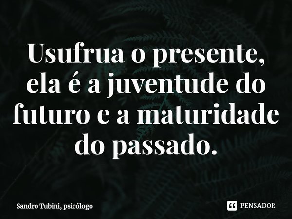 ⁠Usufrua o presente, ela é a juventude do futuro e a maturidade do passado.... Frase de Sandro Tubini, psicólogo.