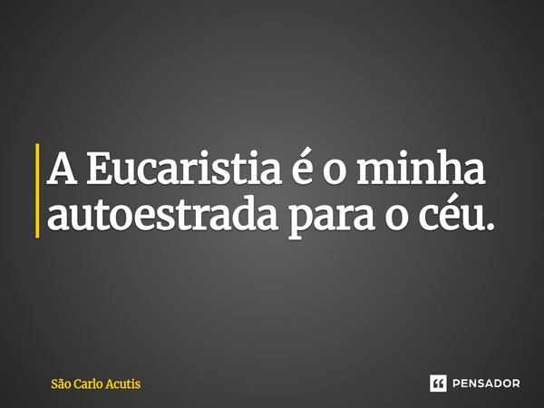 ⁠A Eucaristia é o minha autoestrada para o céu.... Frase de São Carlo Acutis.