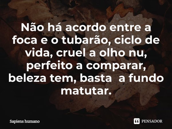 ⁠Não há acordo entre a foca e o tubarão, ciclo de vida, cruel a olho nu, perfeito a comparar, beleza tem, basta a fundo matutar.... Frase de SAPIENS HUMANO.