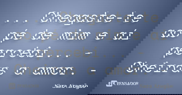 ... Chegaste-te ao pé de mim e aí percebi... - Cheiras a amor. -... Frase de Sara Aragão.