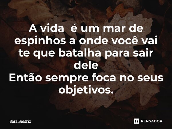 ⁠A vida é um mar de espinhos a onde você vai te que batalha para sair dele Então sempre foca no seus objetivos.... Frase de Sara Beatriz.