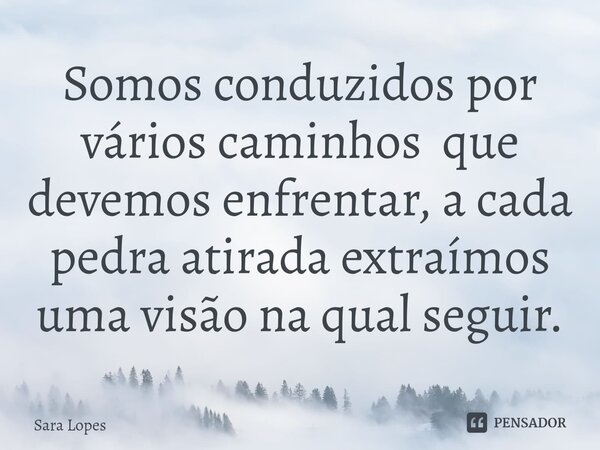 ⁠Somos conduzidos por vários caminhos que devemos enfrentar, a cada pedra atirada extraímos uma visão na qual seguir.... Frase de Sara Lopes.