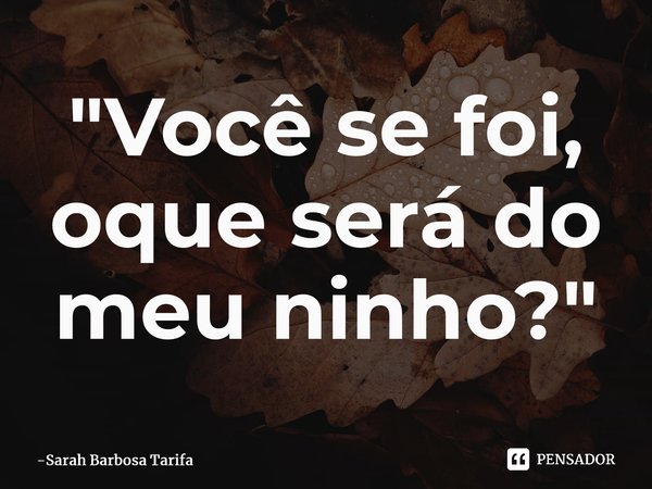⁠"Você se foi, oque será do meu ninho?"... Frase de Sarah Barbosa Tarifa.