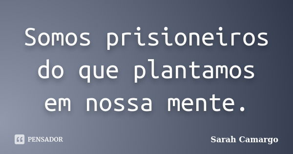 Somos prisioneiros do que plantamos em nossa mente.... Frase de Sarah Camargo.