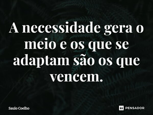 ⁠A necessidade gera o meio e os que se adaptam são os que vencem.... Frase de Saulo Coelho.