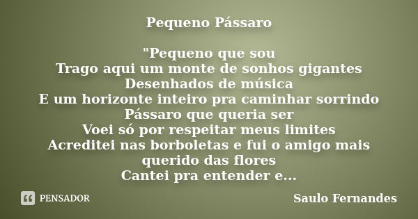 Pequeno Pássaro "Pequeno que sou Trago aqui um monte de sonhos gigantes Desenhados de música E um horizonte inteiro pra caminhar sorrindo Pássaro que queri... Frase de Saulo Fernandes.