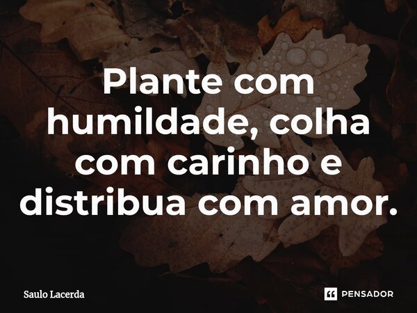 ⁠Plante com humildade, colha com carinho e distribua com amor.... Frase de Saulo Lacerda.