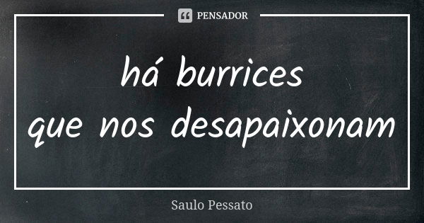 há burrices que nos desapaixonam... Frase de Saulo Pessato.