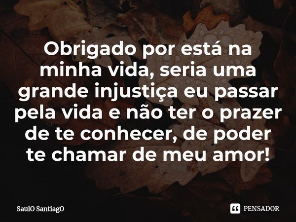 ⁠Obrigado por está na minha vida, seria uma grande injustiça eu passar pela vida e não ter o prazer de te conhecer, de poder te chamar de meu amor!... Frase de SaulO SantiagO.