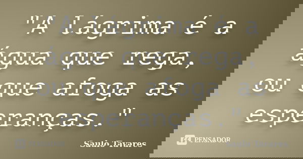 "A lágrima é a água que rega, ou que afoga as esperanças."... Frase de Saulo Tavares.
