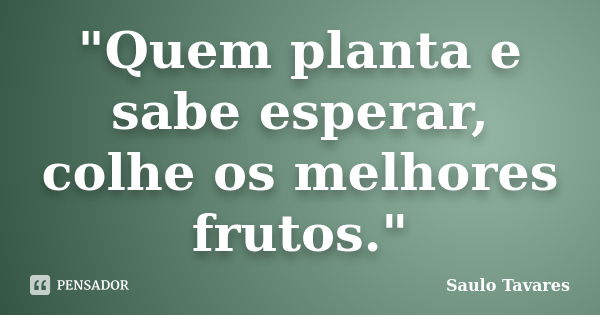 "Quem planta e sabe esperar, colhe os melhores frutos."... Frase de Saulo Tavares.