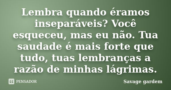 Lembra quando éramos inseparáveis? Você esqueceu, mas eu não. Tua saudade é mais forte que tudo, tuas lembranças a razão de minhas lágrimas.... Frase de Savage gardem.