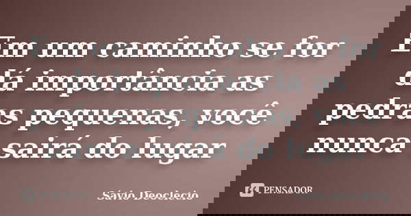 Em um caminho se for dá importância as pedras pequenas, você nunca sairá do lugar... Frase de Sávio Deoclecio.